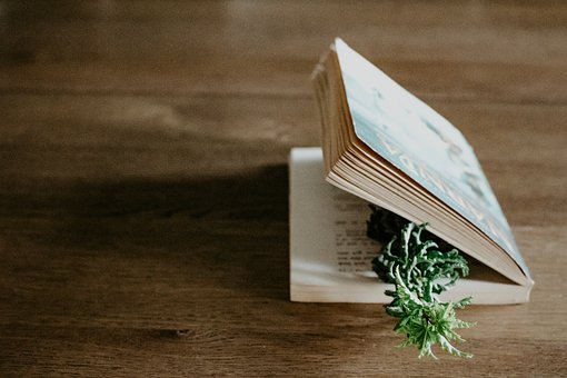 3�����֌��`���⿴�����ɲ���Ŷ���ۂ���׌...