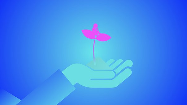 寶寶難以建立與父母健康的親子依戀關系