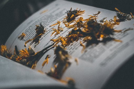 孩子不想上學的原因及家長的正確應對方式