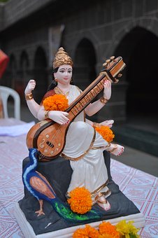 �ɱ��ӌW���D(zhu��n)�����ӌW��