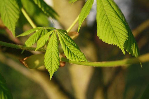 青春期的孩子叛逆沉迷于游戲怎么辦