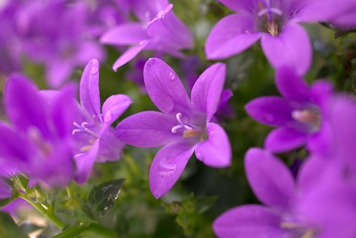 �������Ӳ� Ԓ������ô�k