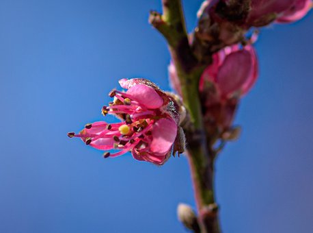 ���ӷ����͏Ͳ����όW��ô�k