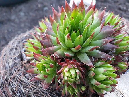 初中孩子磨蹭怎么辦