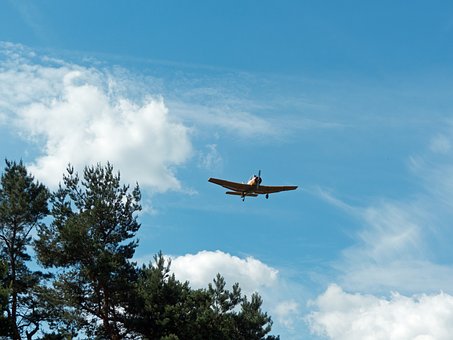 ���L�P�ĺ�����������