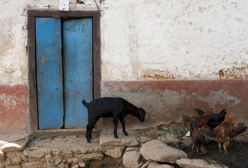 �l�F�������֙C��ԓ����ȥ������ͨ