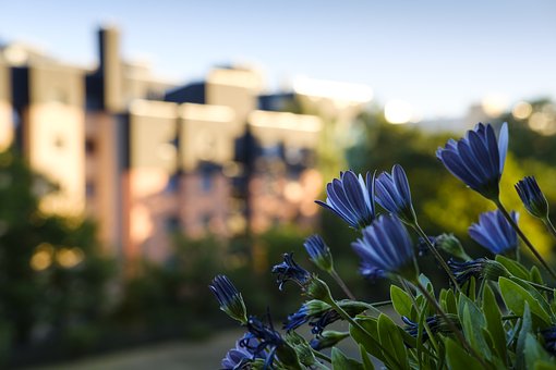 ���������څ��W���όW��ô�k