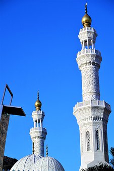 中考物理題型選擇題解題技巧