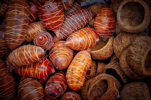 家長最關心的五大“小升初”志愿填報問題