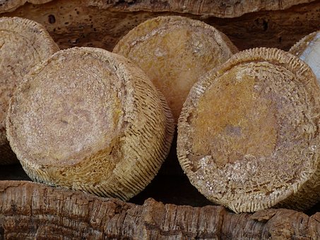 ���꼉Ů�������όW��ô�k