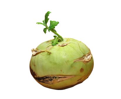 ���H�����ӳ��L����Ҫ��