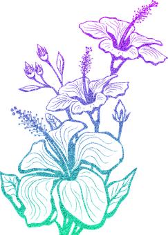 華美的文字和華美的裝修一樣更容易引人眼球...