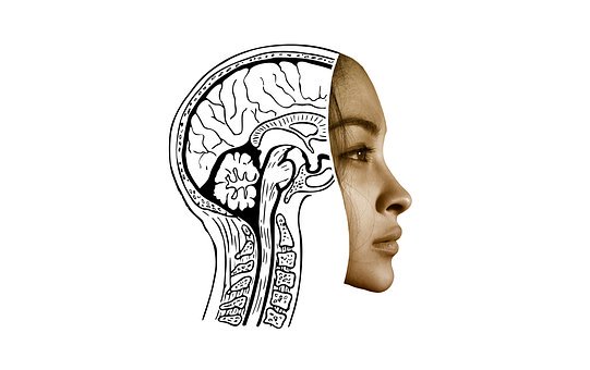 ���B������ӛ�������c�^���e����