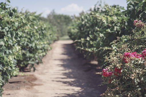 唯有早期識別,科學干預,才能為孩子鋪設一...