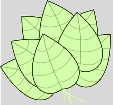 ��Щ���W֪�R֮�g���в�e����ϵ��ǡ����...