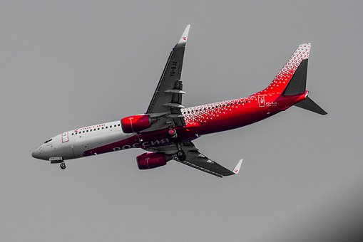 ע����н���