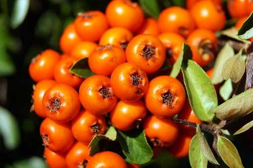 ���⣬���L���Ԍ����ҕ����һ�N�����...