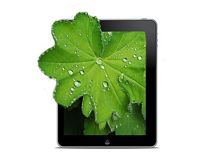 鼓勵(lì)孩子進(jìn)行創(chuàng)造性的游戲和活動(dòng)