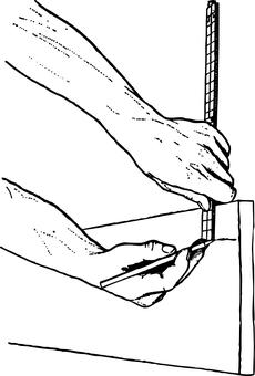 �eֹՄ�·��棬���ٕ��ڿ����M�Мʂ�r���_...