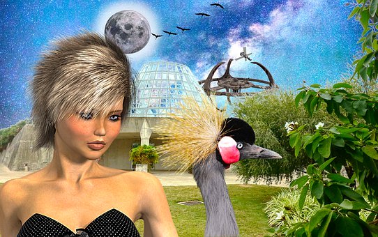 �Pע���ӵ��罻��r