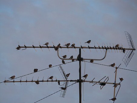 石油工程:對口就業率97%