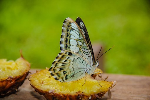 �������׵ă�ͯ���f���質���赸���L����...