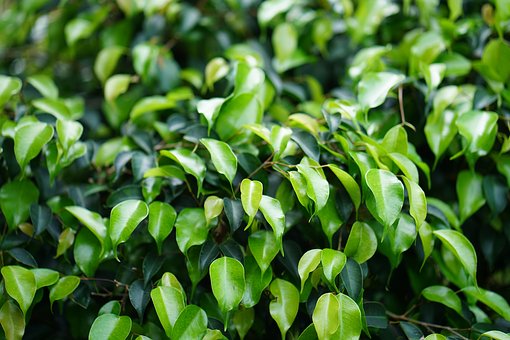 �ڶ����n�ڵ�һ���n�Ļ��A�ϣ�ע�،W�����...