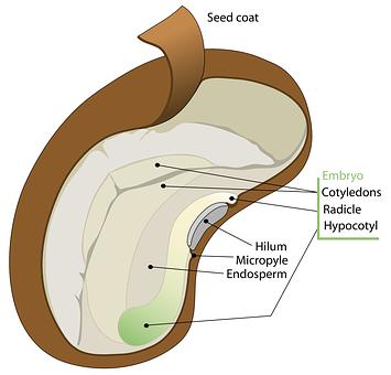 篇7:優化孩子的學習方法,提升學習成績
