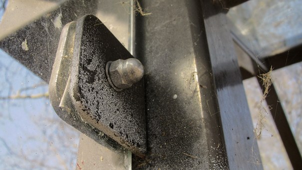 解析:從說(shuō)明對(duì)象的獨(dú)特價(jià)值和文章的說(shuō)明重...