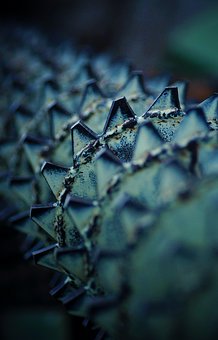 閱讀可以積累寫作素材,可以豐富知識,開闊...