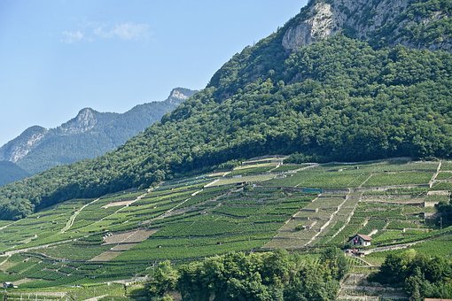 篇4:過度保護孩子的負面影響與平衡方法