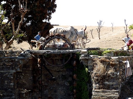 9��ÿ�춼Ҫ�ƶ��W��Ӌ��