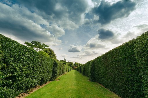 - ���w�ĚgЦ�Z�ƺ��c�����o�P�������n�...