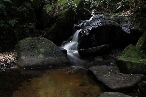 我嚴格要求自己,工作實干,并能完成學校給...