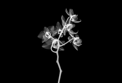 這個城市位于長江畔。