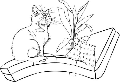 ��Σ�Ҫע�����I(y��)�Ķ����ԡ����I(y��)����ԓ�H�H...