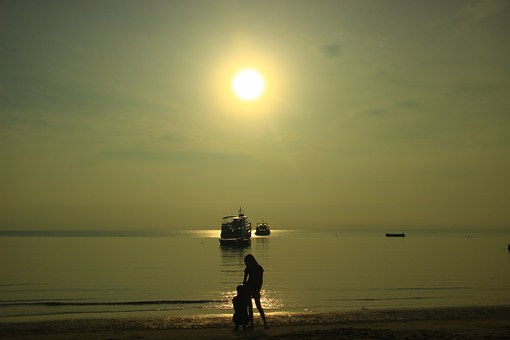 ���L�Ľ�ɫ�c����