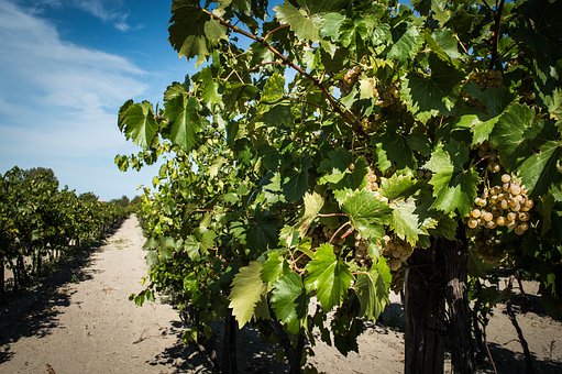 ���R���ӣ����������ģ�Ӱ�δ��