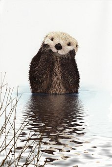 ���������x:���팍(sh��)�(y��n)�ķ����ͼ���