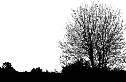 培養(yǎng)競爭意識:激勵孩子走向成功