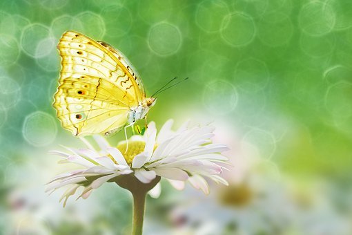 初一孩子成績不好怎么辦