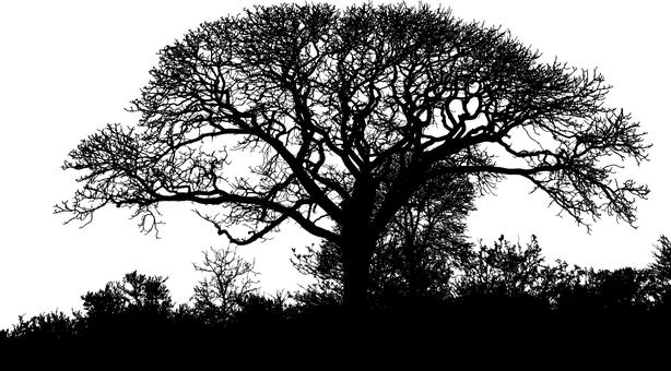 孩子在學(xué)校不敢和老師說話怎么辦