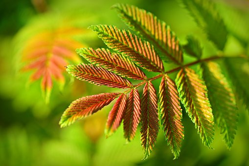 ��Q��������ĥ��ķ���