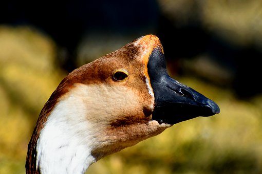 һ�꼉���ӿ�����첻������ô�k