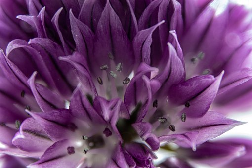 ���L��ע�غ��ӵ���������