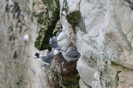 寶寶長智力必玩9經(jīng)典游戲