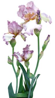 培養孩子良好的生活習慣:從小事做起