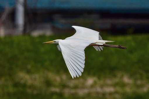 孩子和父母吵架怎么辦