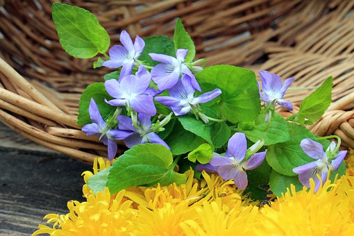 10�q�����f�eԓ���ӽ������