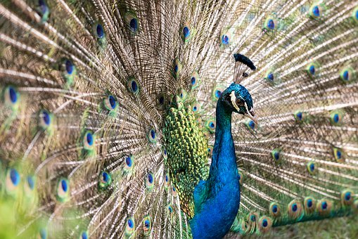 面對孩子撒謊 智慧的父母們應(yīng)該如何應(yīng)對?